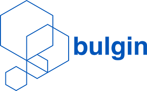 BULGİN